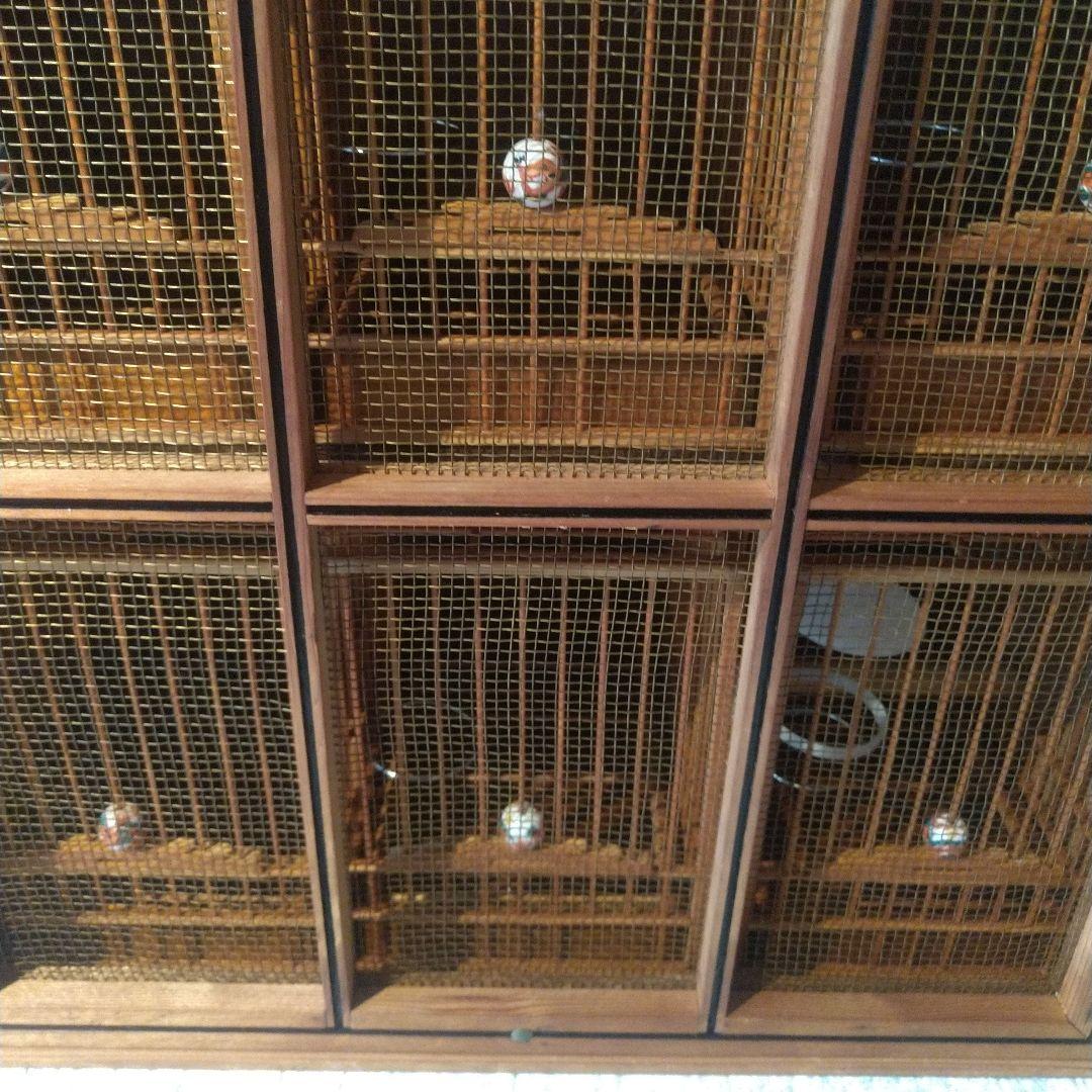 メジロ籠6個&寝かせ箱セット ① 6個 まとめて セット/竹製 竹籠 鳥籠