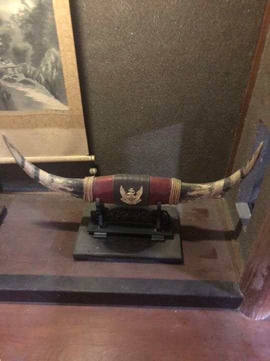 水牛の角について- 中国雑貨華蔵 水牛のツノ