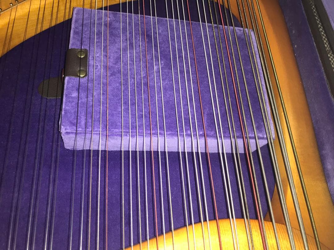 最終値下げ　19日発送　ゲルトナーテノーラライアー46弦