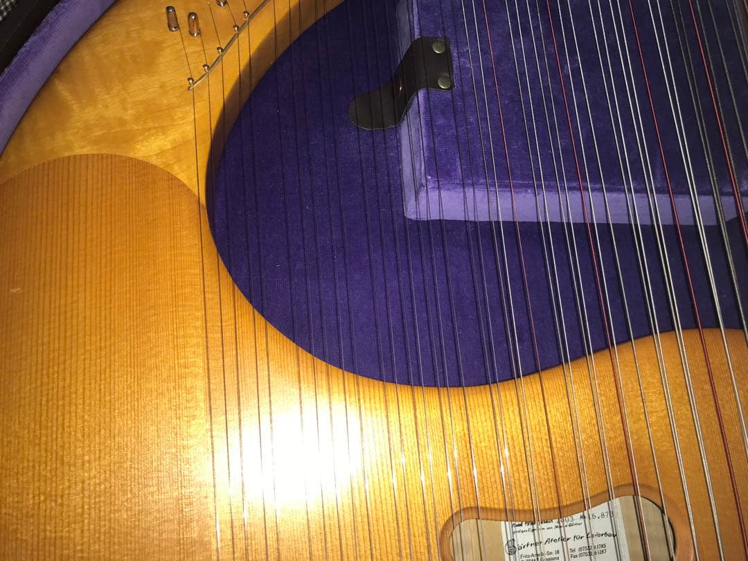 最終値下げ　19日発送　ゲルトナーテノーラライアー46弦