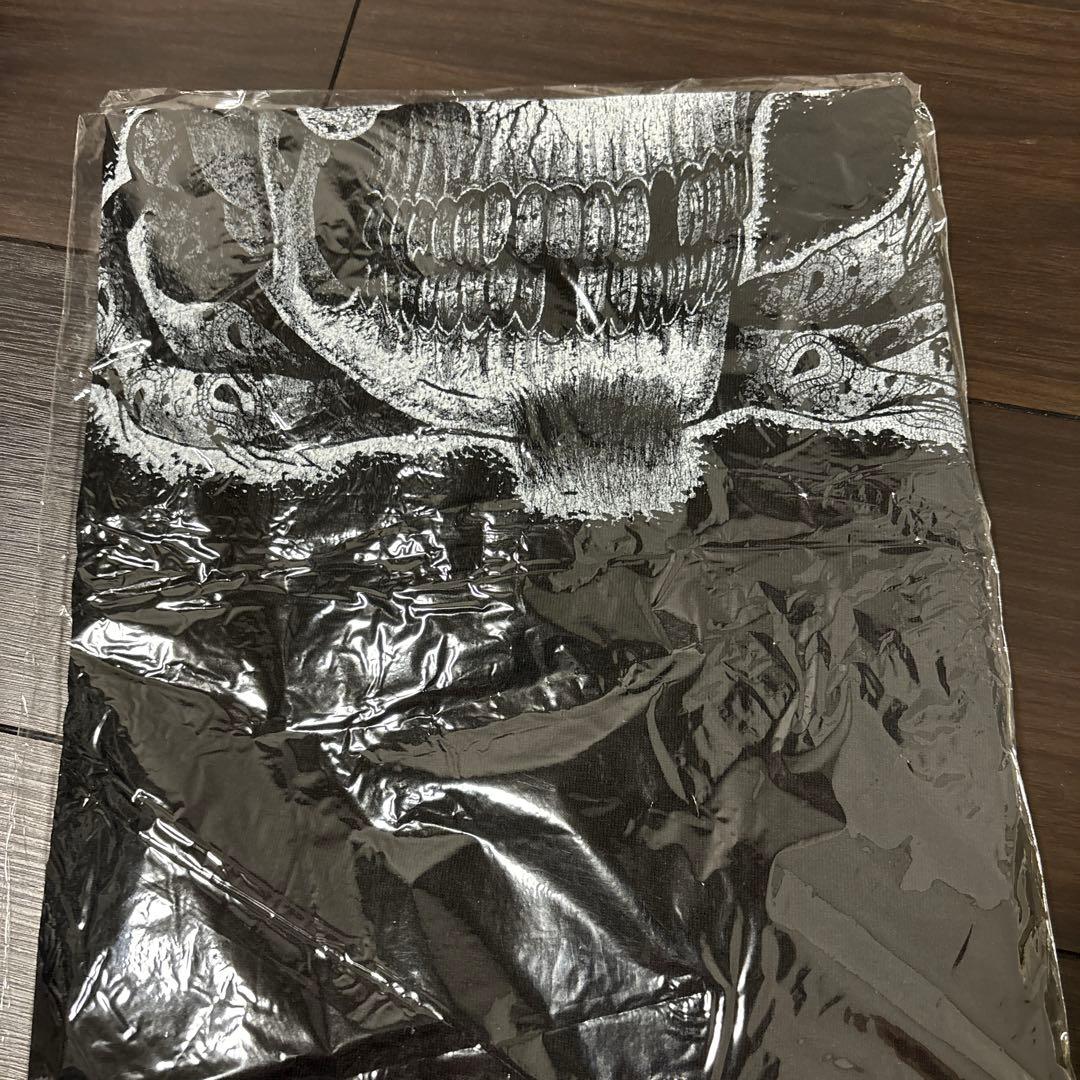 新品未着用 Hi-STANDARD ハイスタ XL ロンT ロング Tシャツ