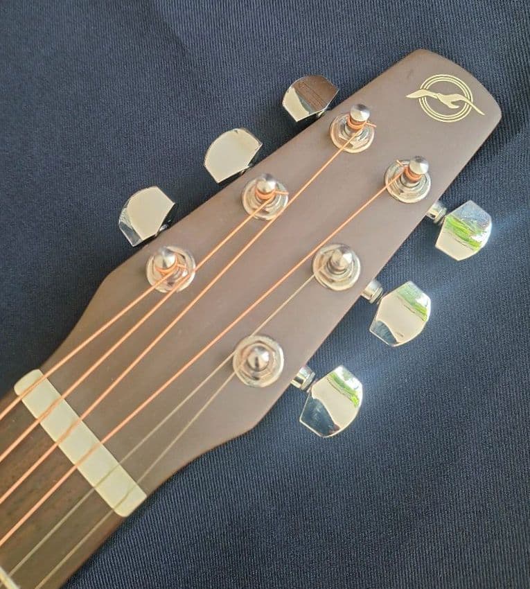 Seagull SM6 Spruce シーガル made in canada - ギター新 デザイン