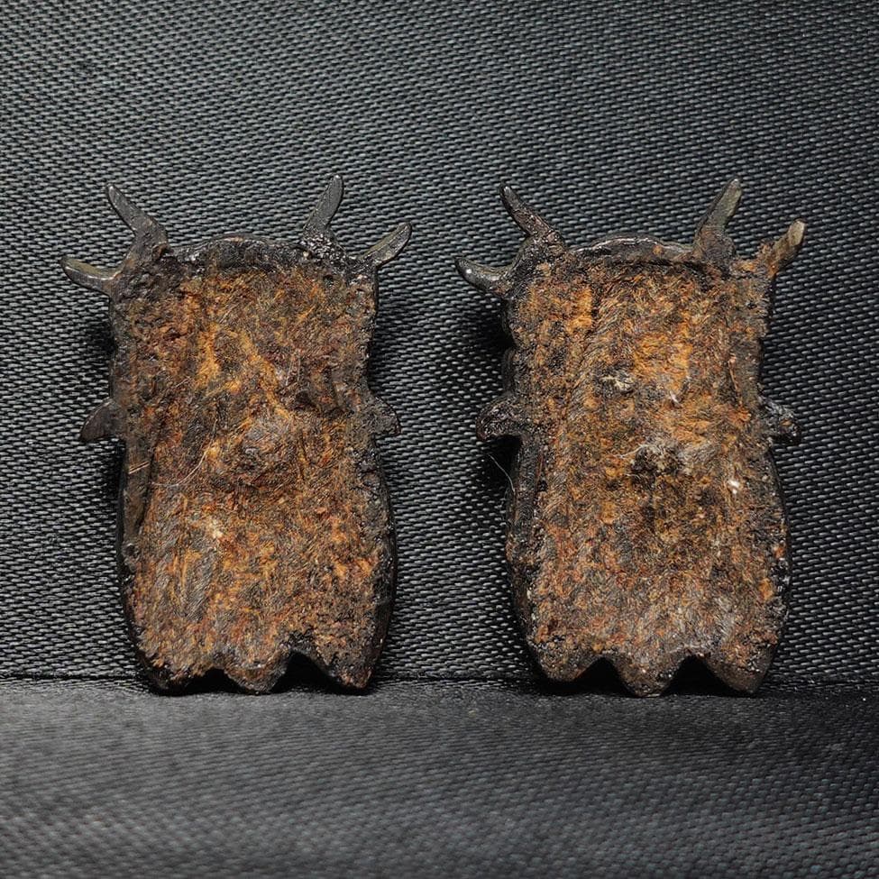 赤銅地容彫蝉図目貫　無銘　高肉彫　金銀象嵌　毛彫　再生復活　cicada　蝉時雨