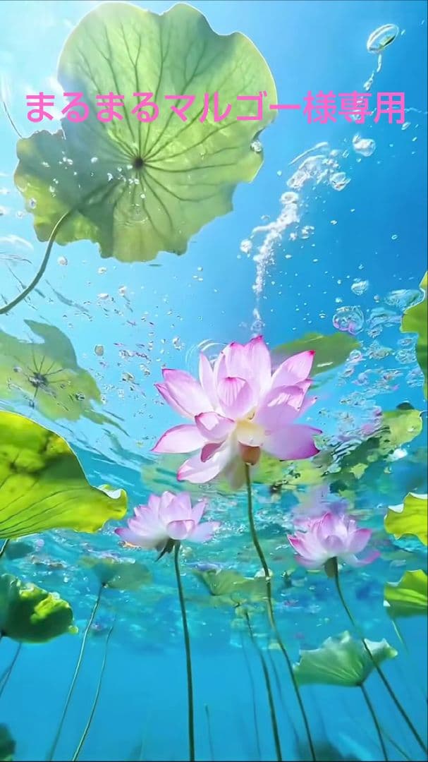 まるまるマルゴー　ミッション Yミルク✕4本 まるまるマルゴー ミッション Yミルク✕4本 まるまるマルゴー