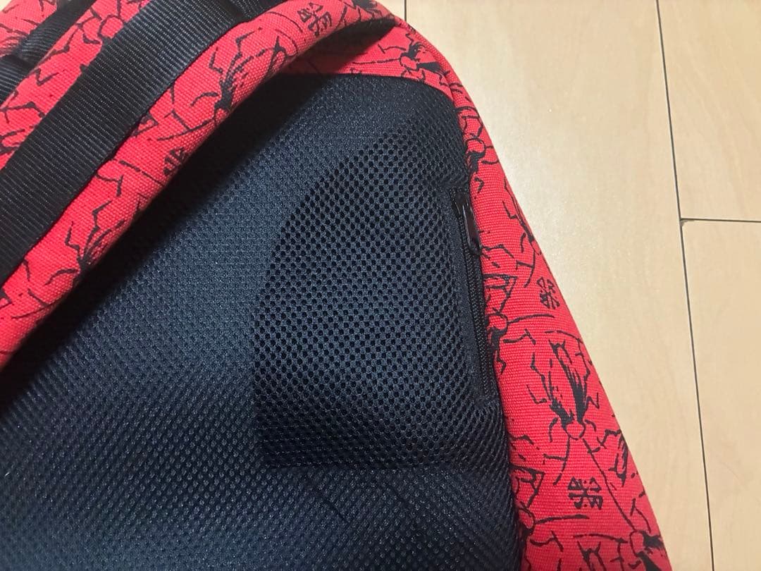 BLACK DALLAS ブラックダラス　ゴキブリ　リュック　検スカルスケーツ