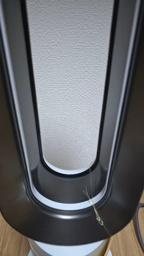 dyson hot+cool 冷風機・温風機 AM09 2021年製 扇風機