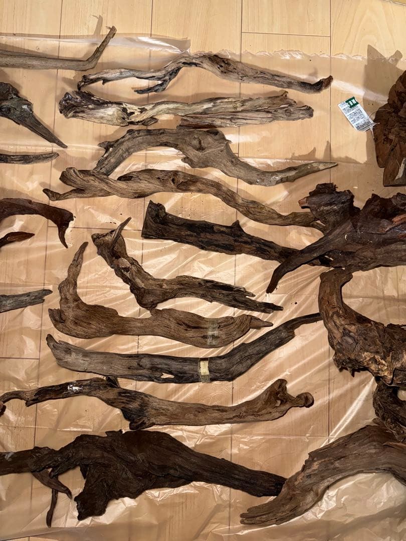 水槽用流木 複数セット 通販