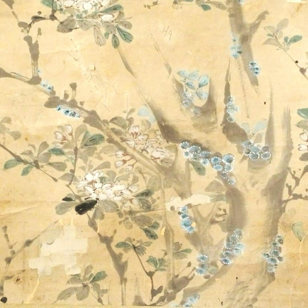 2077様感謝‼️風かほる‼️肉筆　掛け軸　「桜にすずめ」吉田公均　作　春彼岸