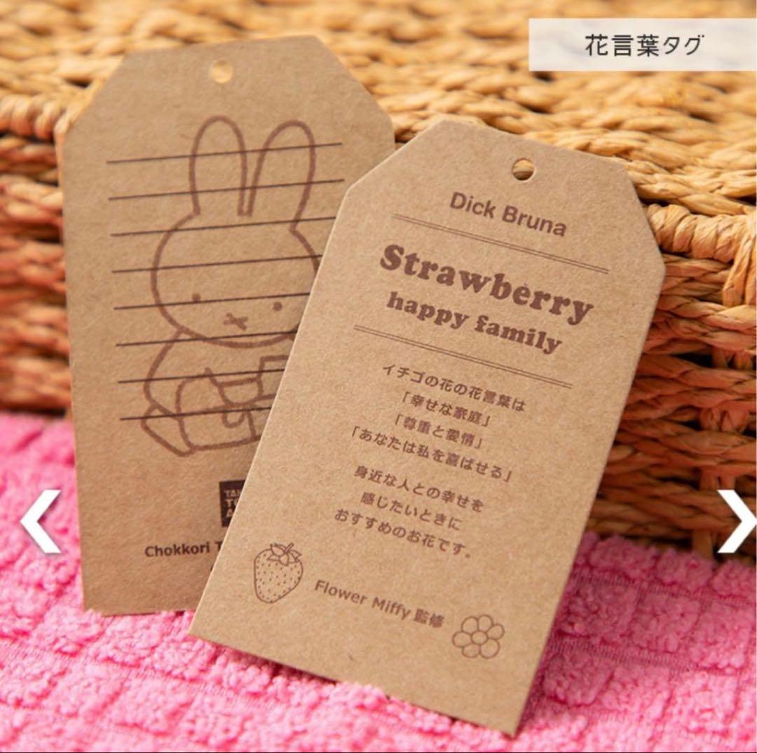 Miffy ミッフィー ブルーナ ちょっこりサンキューマスコット 4種 セット