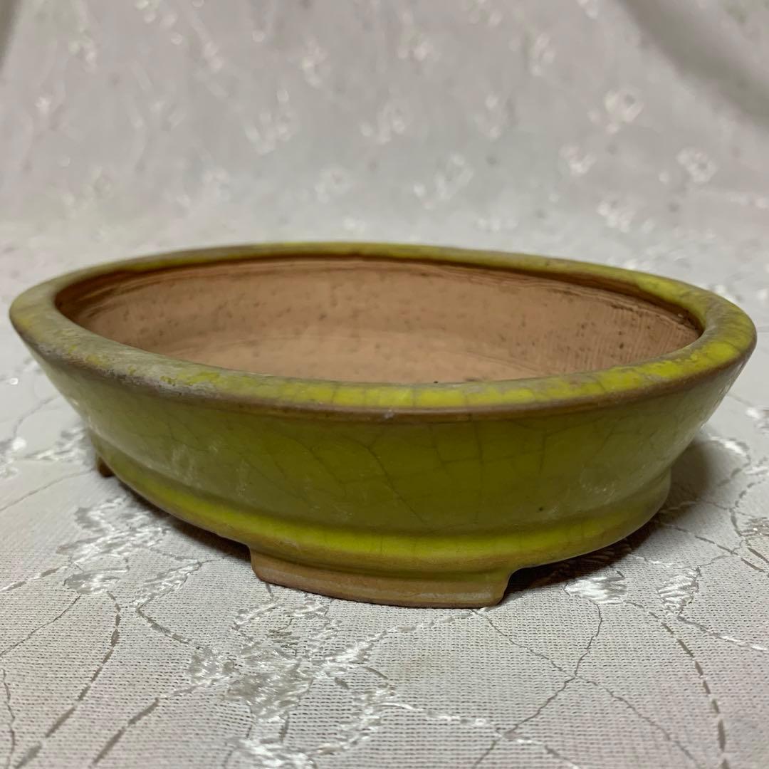 美芸 黄 盆栽鉢｜美芸 楕円 黄 盆栽鉢 美芸盆栽鉢