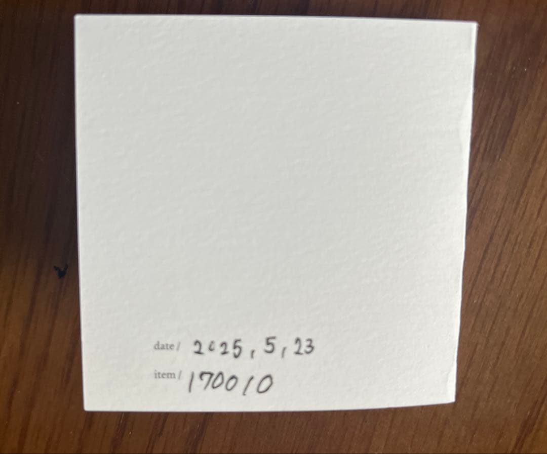 ダブルフィンガーリング　シルバークリスタル付き