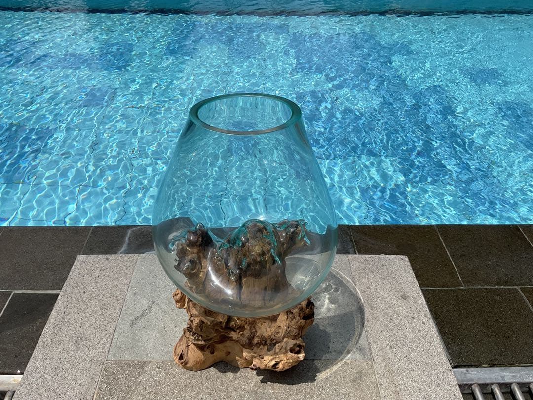 新入荷】フィッシュボール(流木ガラス水槽)L size 魚用品・水草