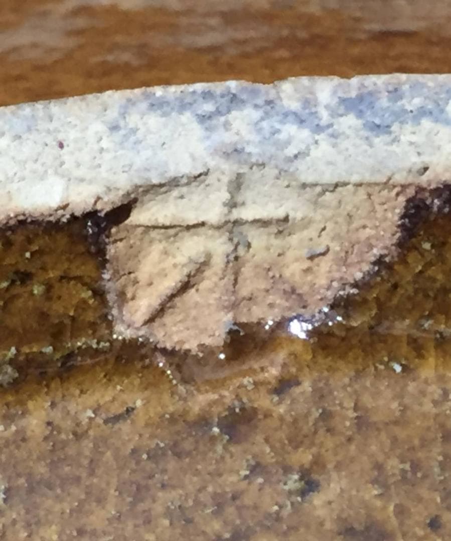 木村一郎 巨匠 益子焼 「黄釉梅花文皿」木村充織箱 大皿 28.9cm 茶道具