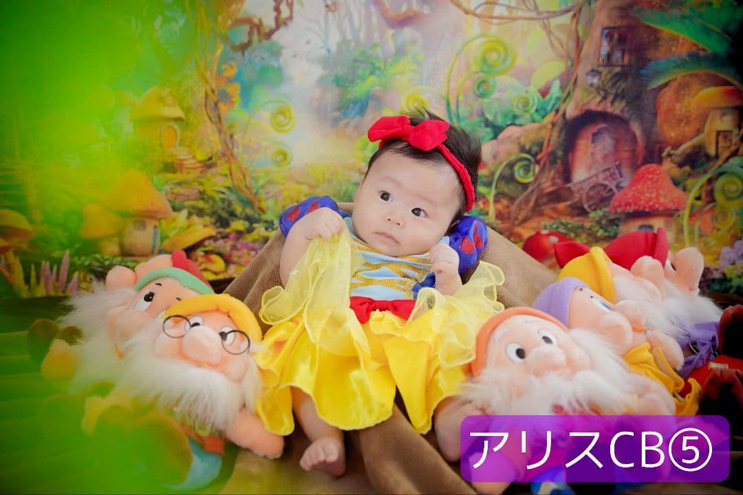 背景布【秋XB】サンプル ペット撮影用ブース パンパスグラス ドライ