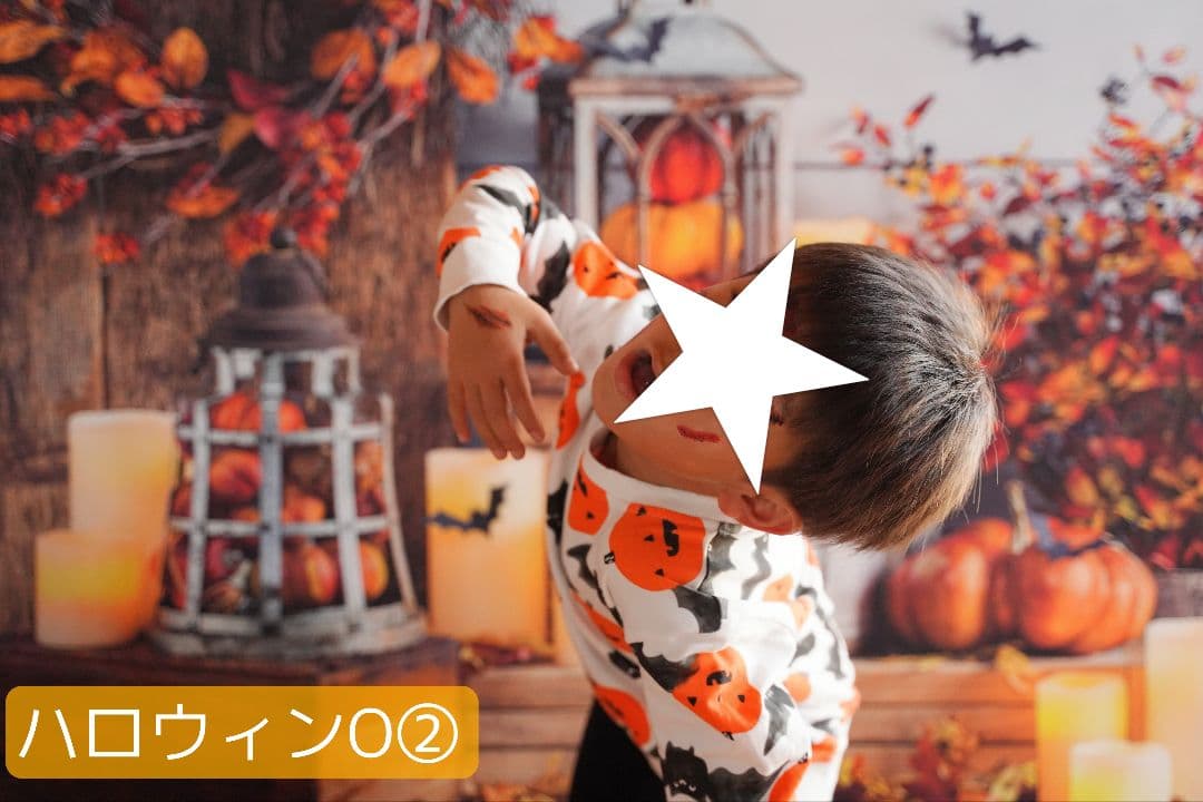 背景布【秋XB】サンプル ペット撮影用ブース パンパスグラス ドライ