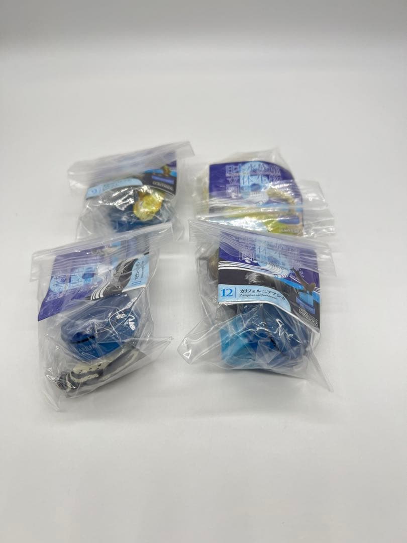 日本水族館立体生物図録6