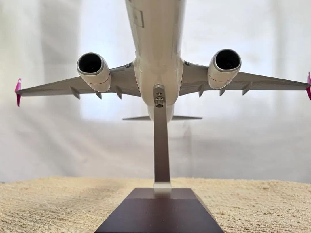 DARON / ダロン｜SWOOP / スウープ｜B737-800｜1/100