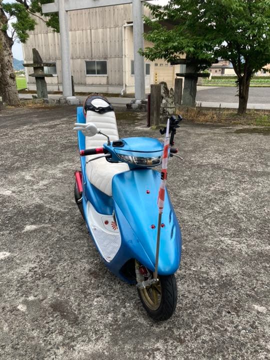 Dio ZX 「確認用」 F49484271