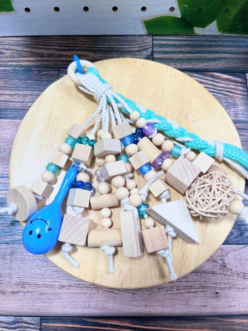 ハヤブサ 鷹用 限定 希少 非売品 サウジアラビア 万博 ブルクワ