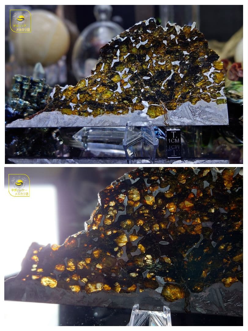 隕石 セイムチャン パラサイト 117.3g ⭐