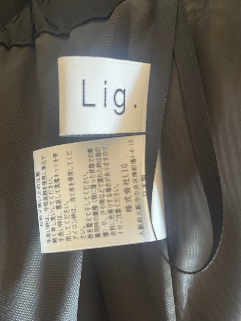 りーちゃん　Lig. sheer volume skirt