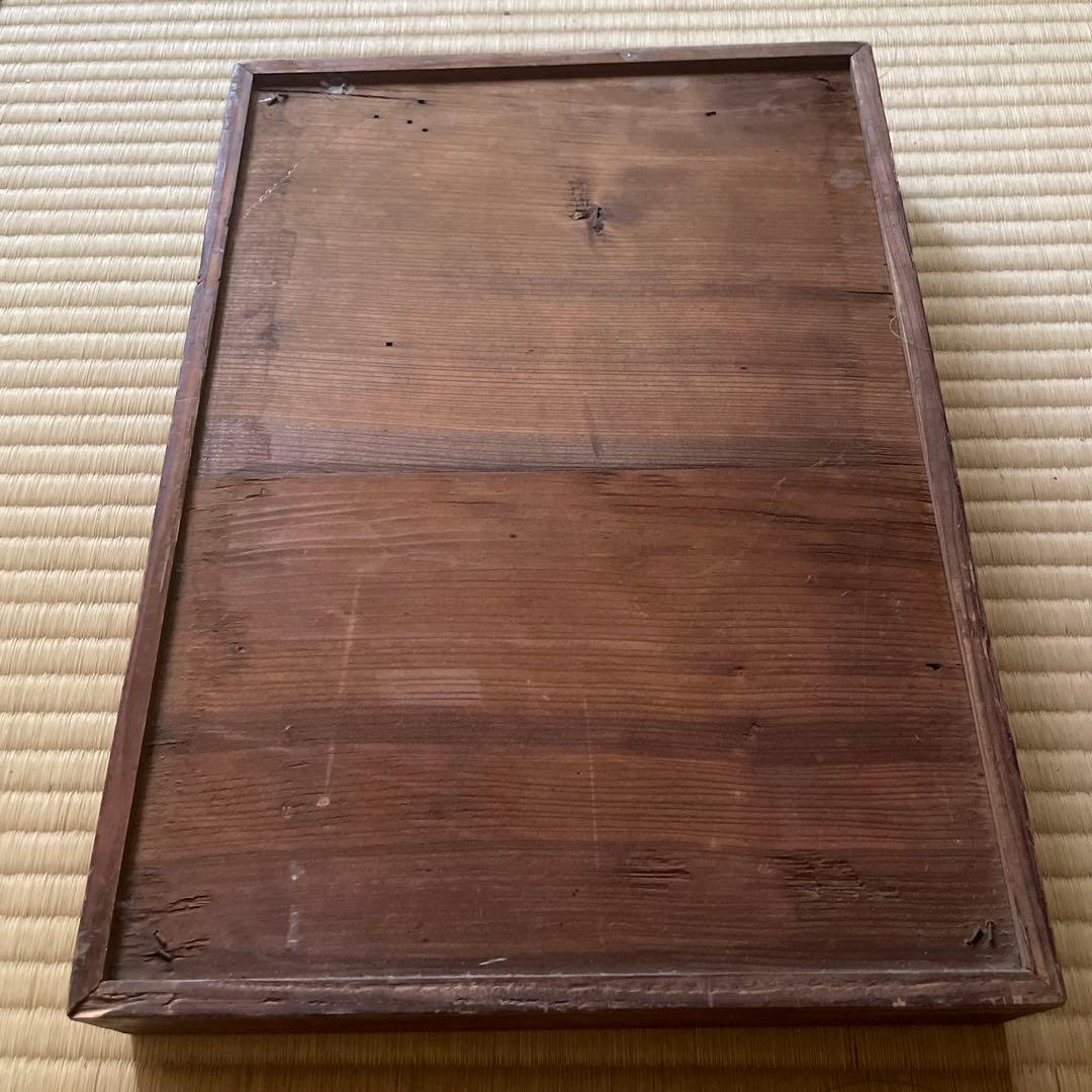 珍品、レトロ 医学模型 寄生虫