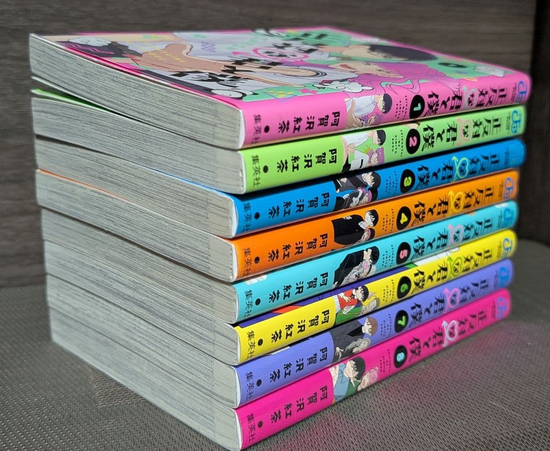 【22冊】 氷の城壁 正反対な君と僕