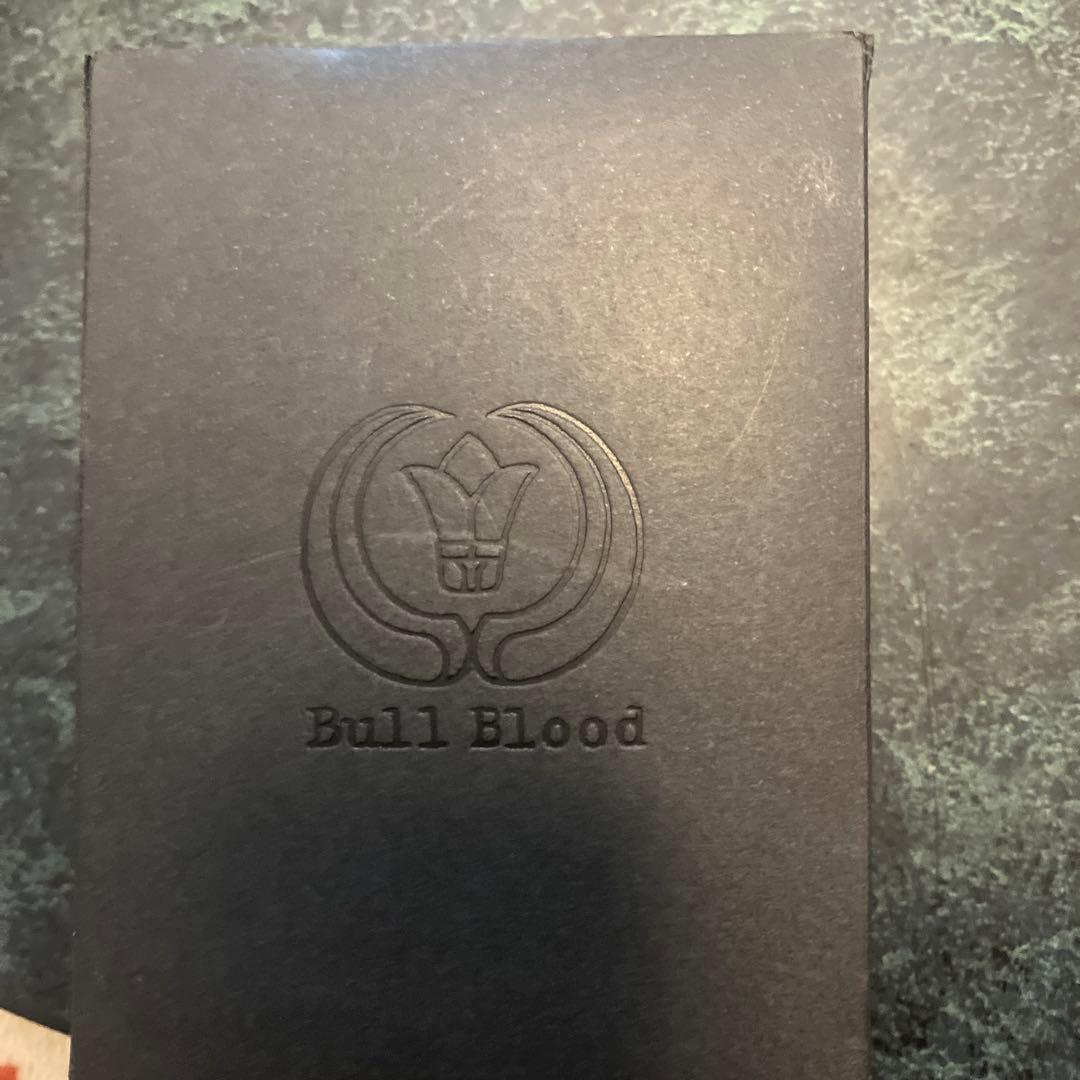 BULL BLOOD TAO DRAGON -SILVER MENS ハイド愛用