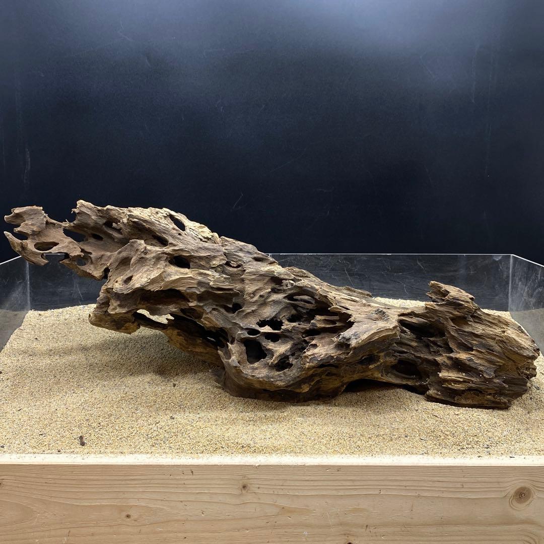 MMW-6463 特大マシンガンウッド 流木 アクアリウム