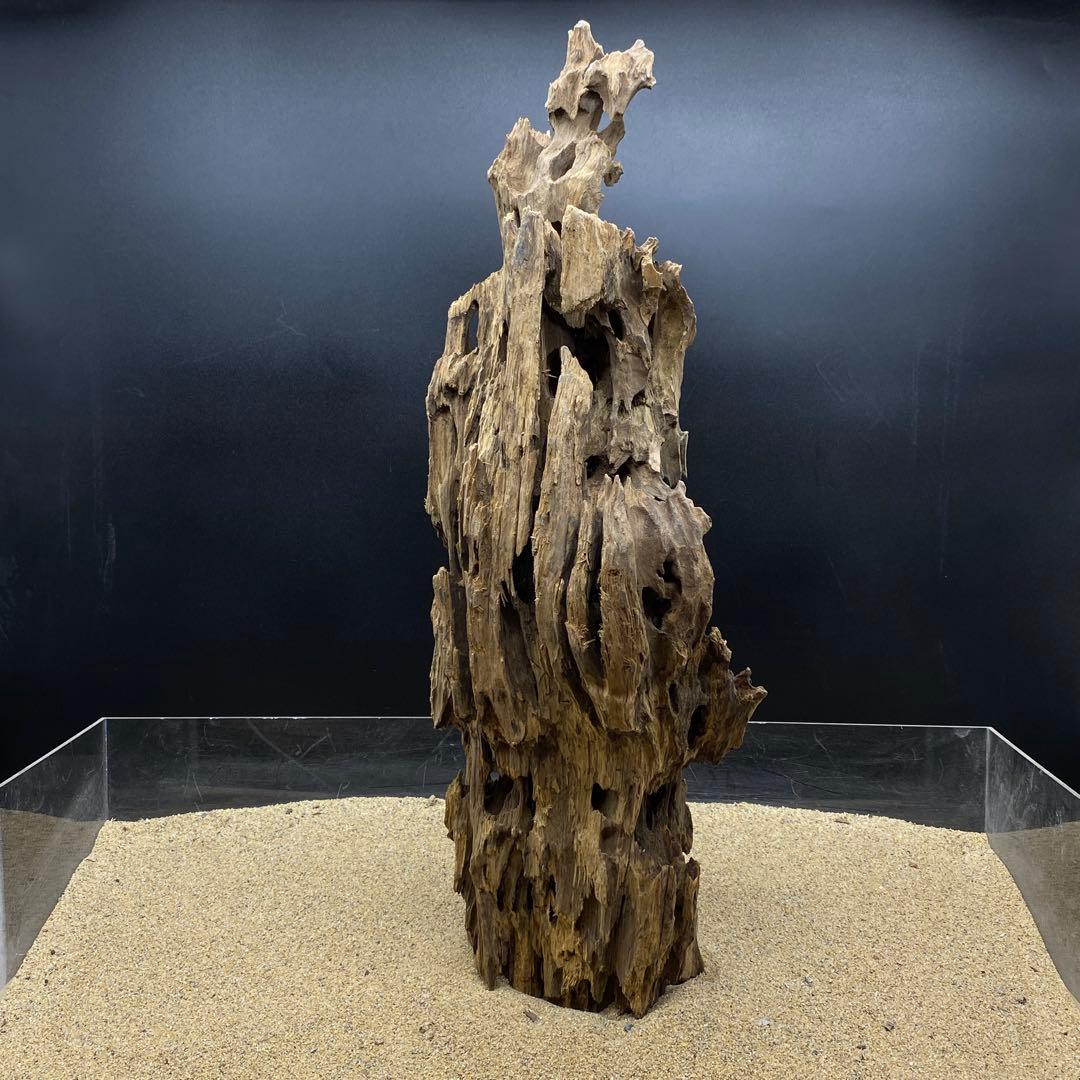 MMW-6463 特大マシンガンウッド 流木 アクアリウム