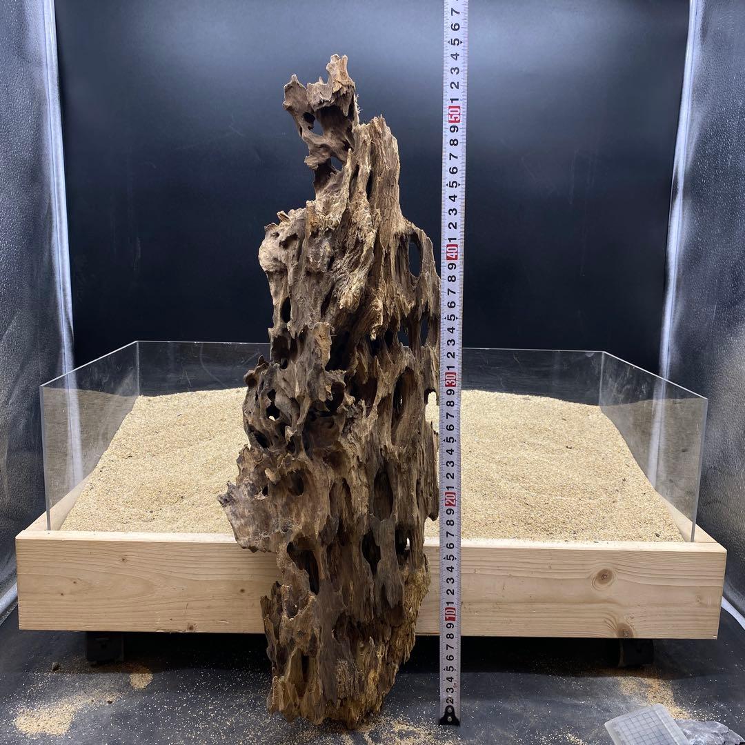 MMW-6463 特大マシンガンウッド 流木 アクアリウム