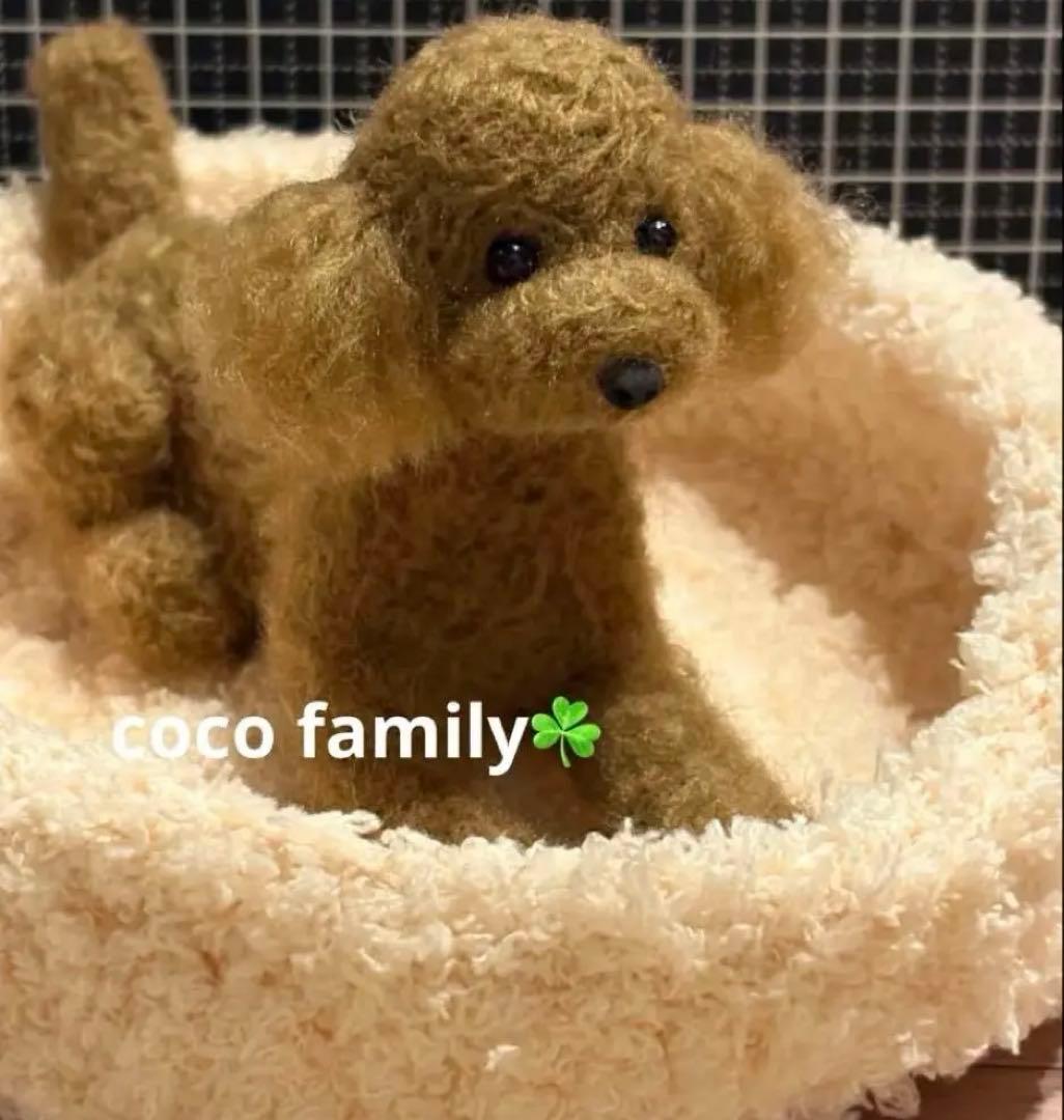 羊毛フェルト 毛糸 トイプードル（レッド） - メルカリ