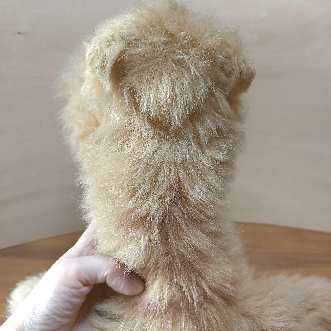 昭和レトロ 希少 レア オオイケ イリオモテヤマネコ ねこ　Oike