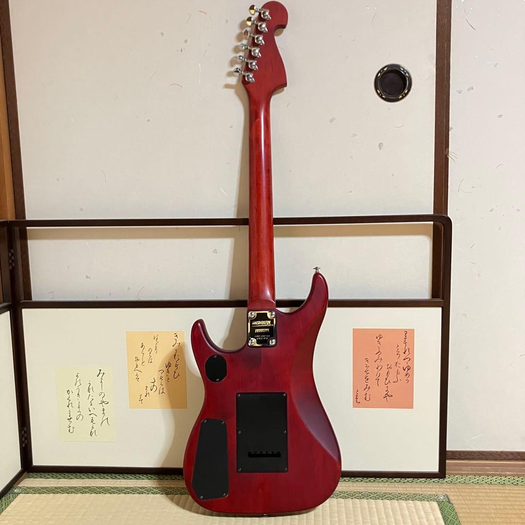 Washburn N1 Nunoモデル