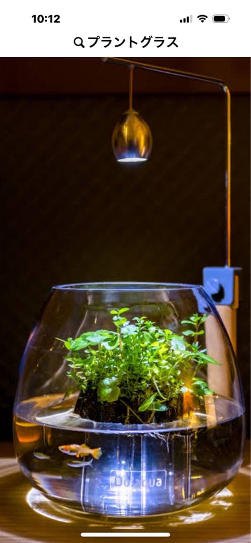 廃盤未使用 ADA Do!aqua プラントグラス ポルカ ADA Do!aqua オーバル