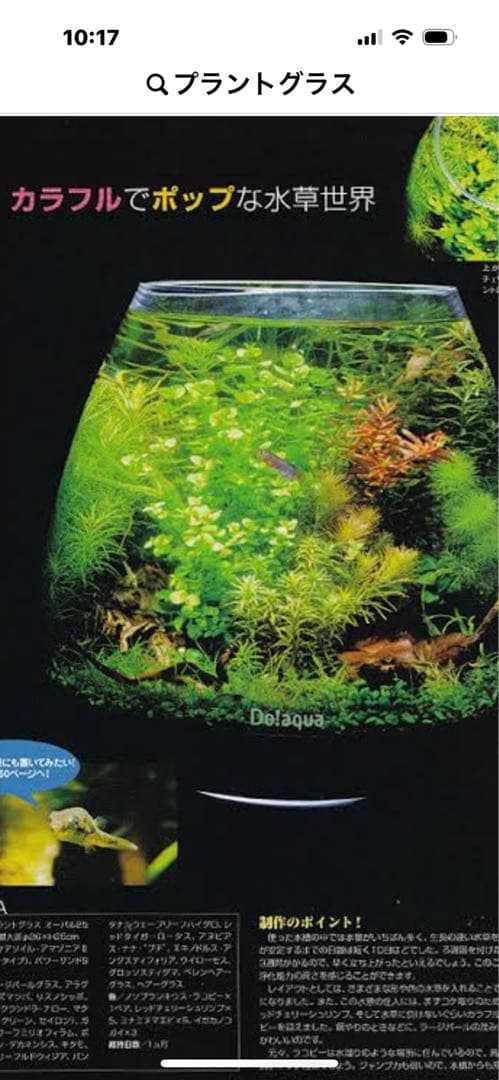 廃盤未使用 ADA Do!aquaプラントグラス・オアシス レアコレ