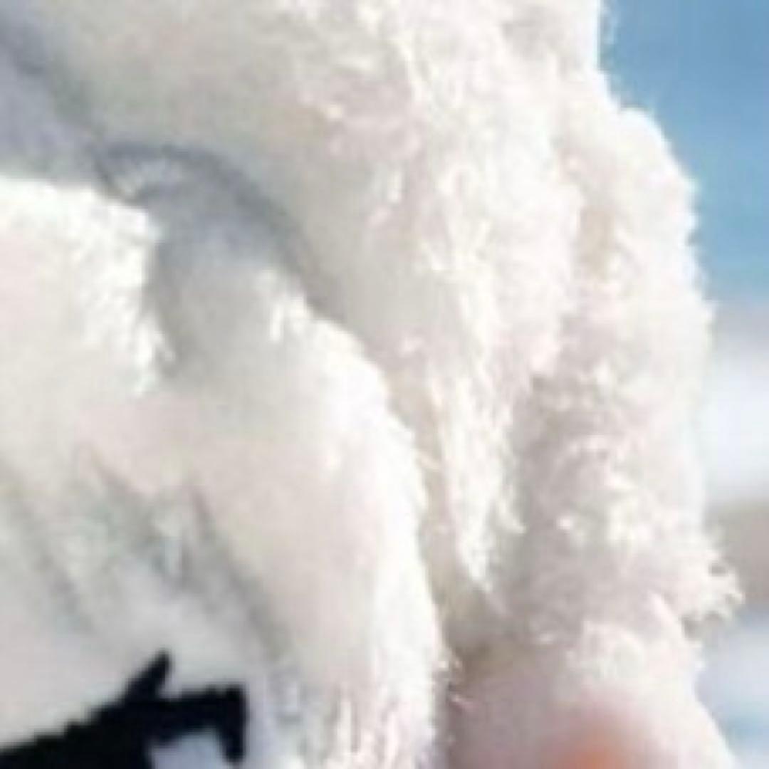 きゅら プロフィール見てくださいさま専用