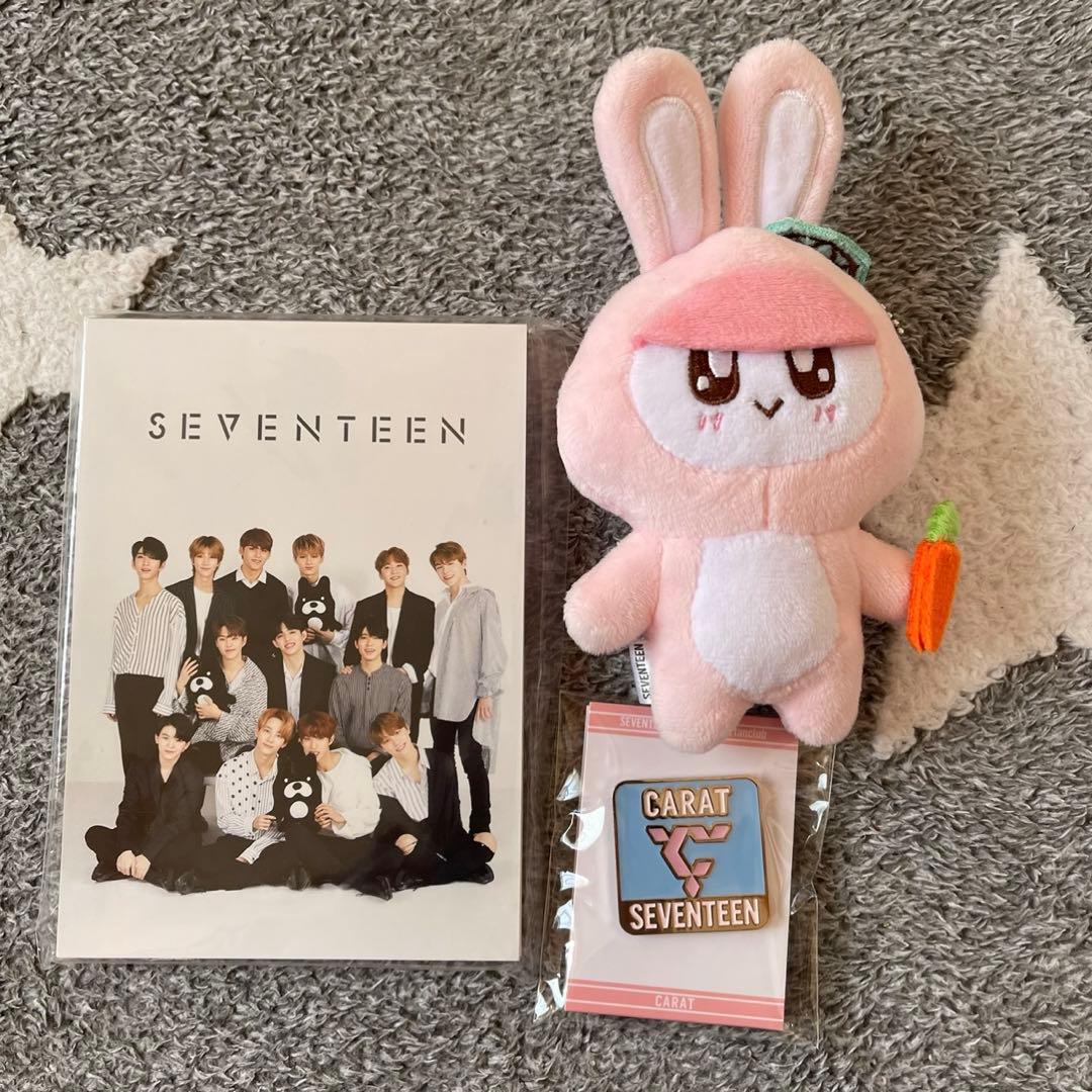 着ぐるみBONGBONG ボンボンイ ニンジン ウサギ 猫 ブタ 犬 ぬいぐるみ