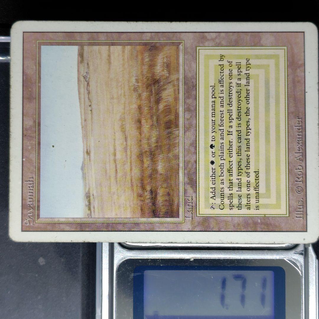 リバイズド Savannah 英語版 状態MP程度 mtg