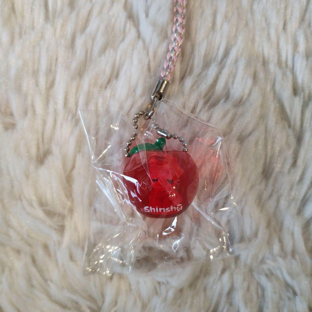 ご当地キティ 信州限定 りんご 特産フルーツ 根付けストラップ レア 2009