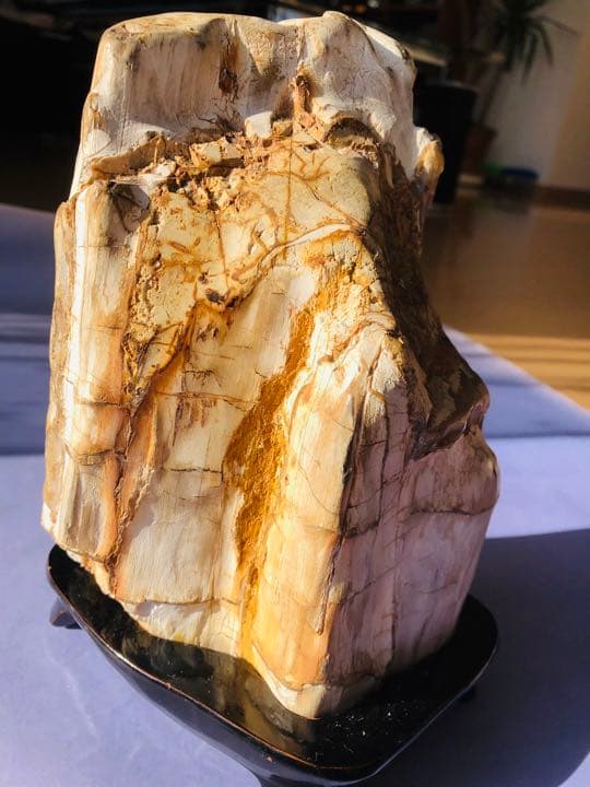 木化石（重さ2120克）珪化木鑑賞石 景石 天然石 台付き 銘