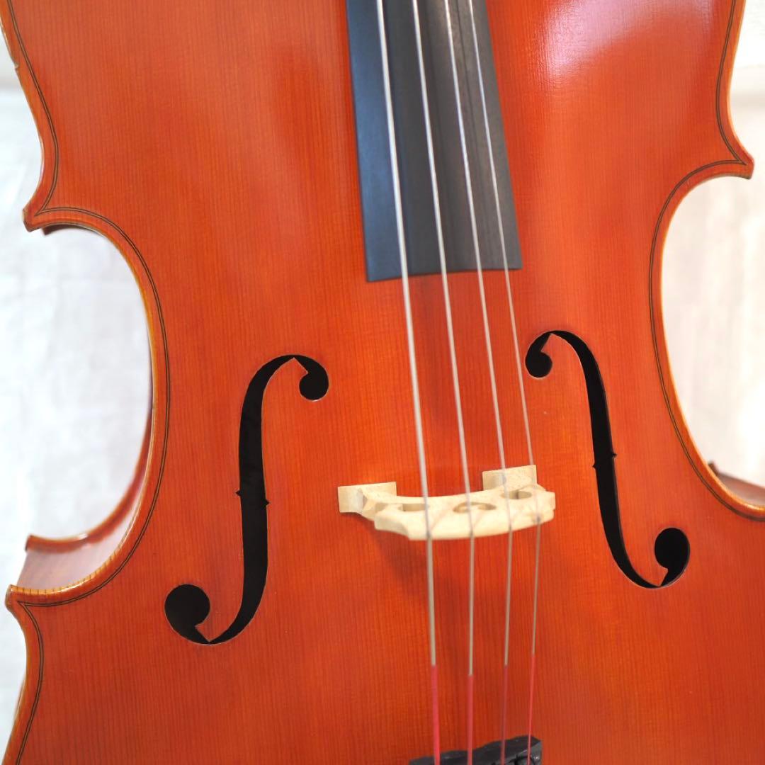 ピグマリウス チェロ 4/4 Pygmalius ST-303 ハードケース