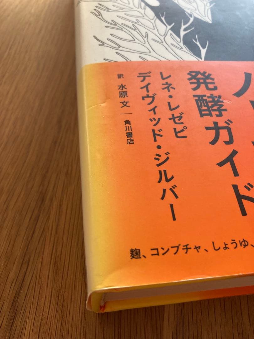 ノーマの発酵ガイド 日本語版