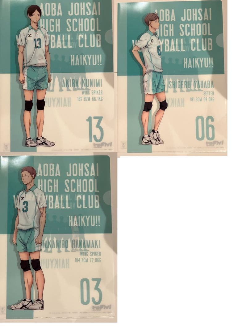 44セット ハイキュー 青葉城西 青城 クリア ファイル - メルカリ