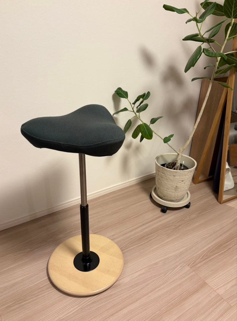 Varier Stokke MOVE バランスチェア ストッケ ムーブ