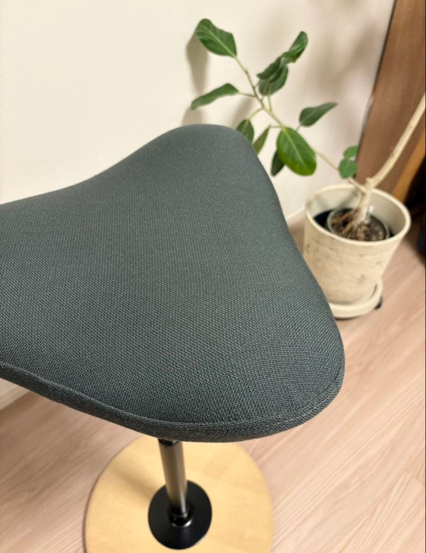 Varier Stokke MOVE バランスチェア ストッケ ムーブ