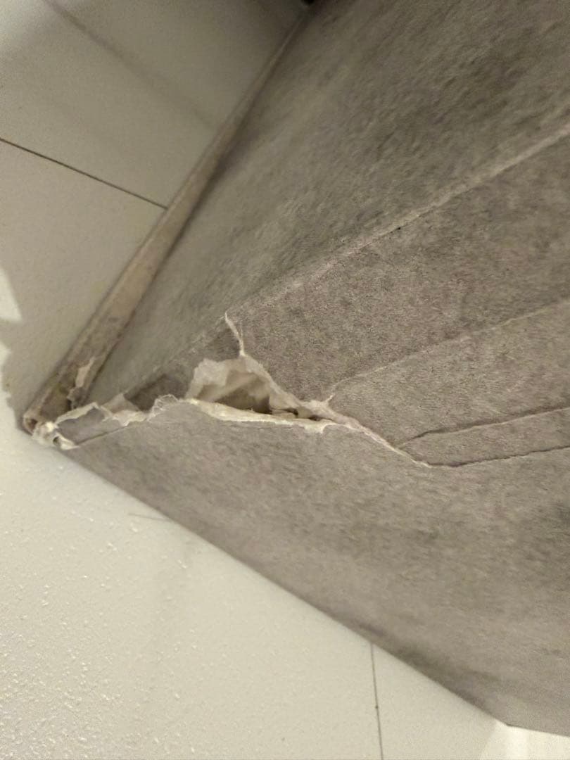 ANGEL IN CLOUDS ジモモ ZIMOMO