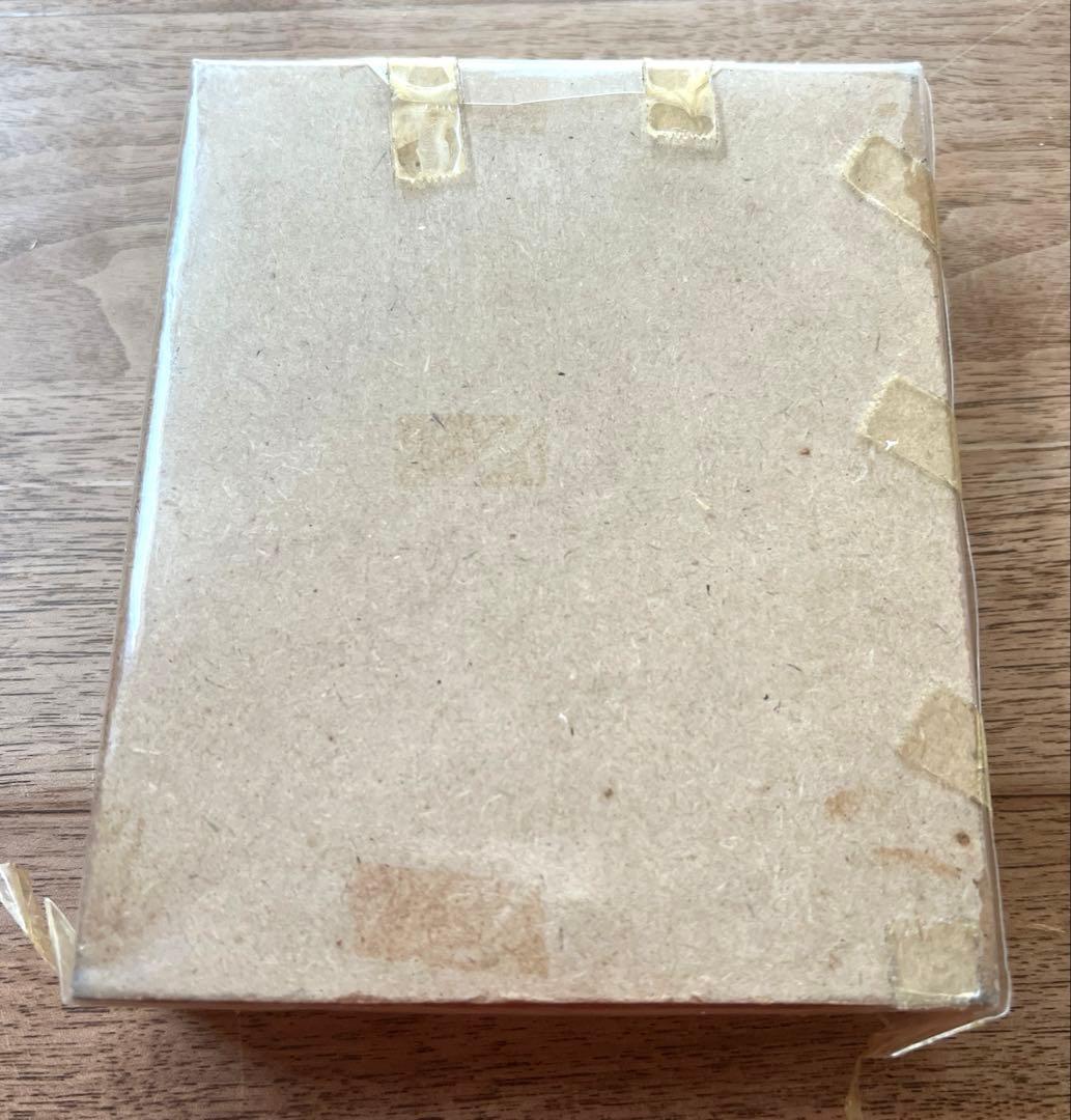 Eupatorus Graulomiris ゴホンツノカブトムシ 標本