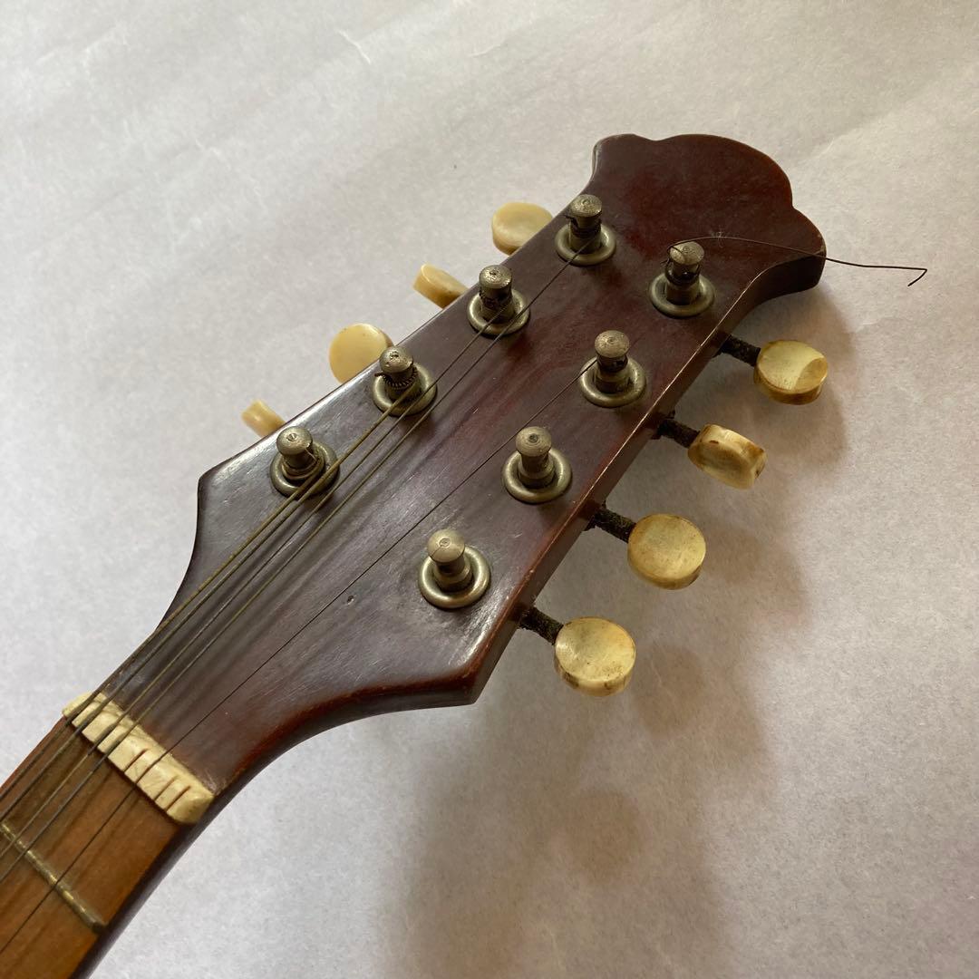 マンドリン　SUZUKI