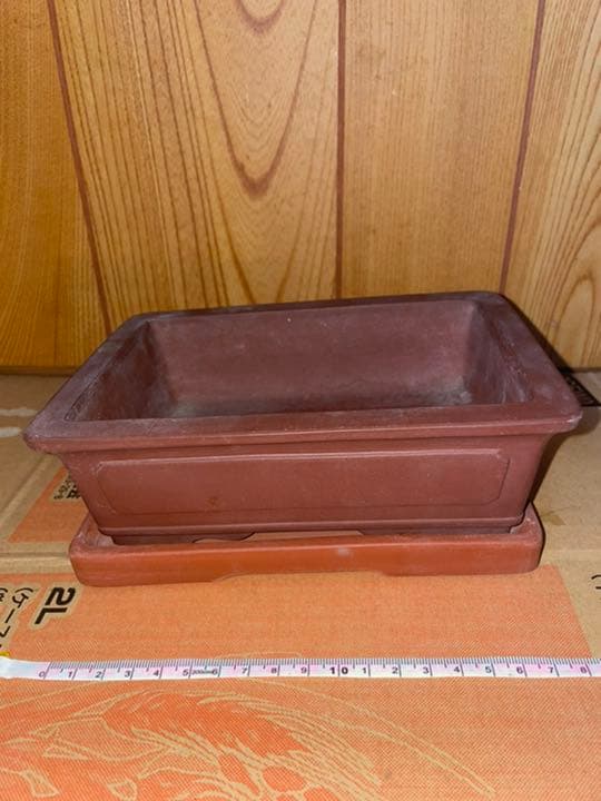 最終価格　中国　中国宜興　植木鉢　盆栽